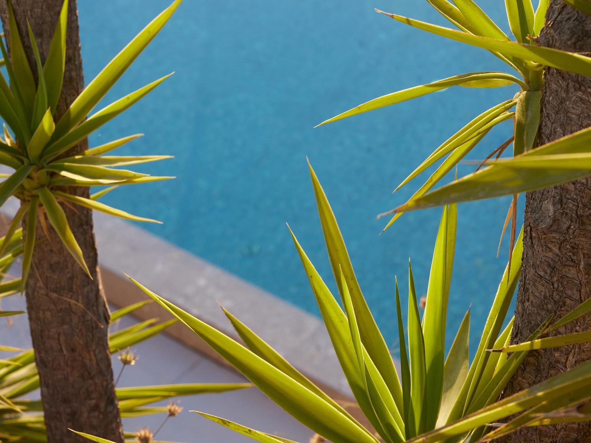 The Roc Club, A Grecotel Hotel To Live Vouliagméni Exterior foto